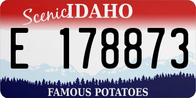 ID license plate E178873