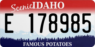 ID license plate E178985