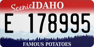 ID license plate E178995