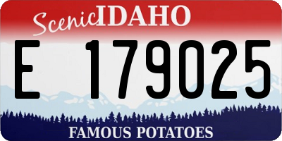 ID license plate E179025