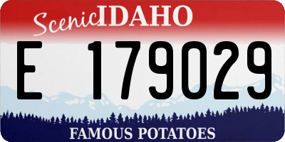 ID license plate E179029