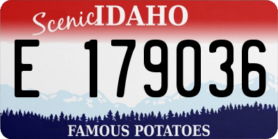 ID license plate E179036