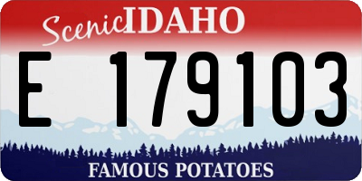 ID license plate E179103