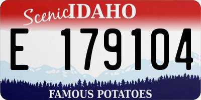 ID license plate E179104