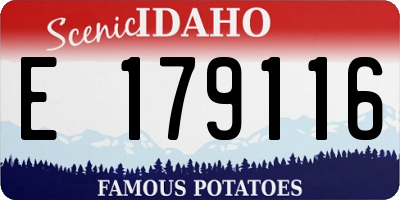 ID license plate E179116