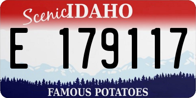 ID license plate E179117