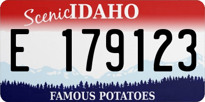 ID license plate E179123