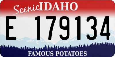ID license plate E179134