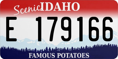 ID license plate E179166