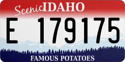 ID license plate E179175