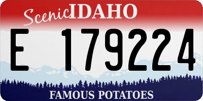 ID license plate E179224