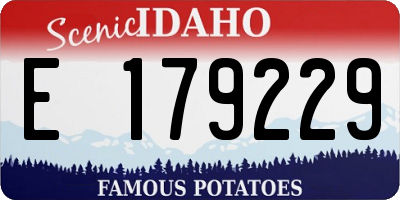 ID license plate E179229