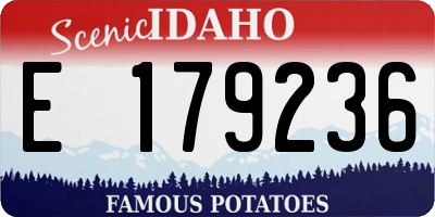 ID license plate E179236