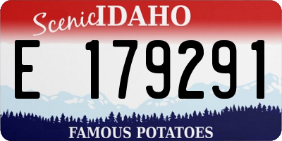 ID license plate E179291