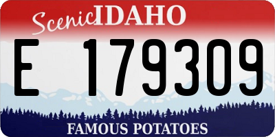 ID license plate E179309