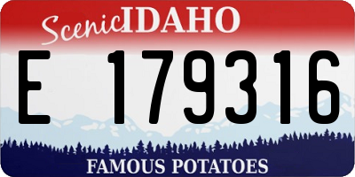 ID license plate E179316