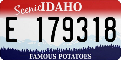 ID license plate E179318