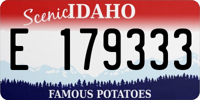 ID license plate E179333