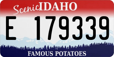 ID license plate E179339