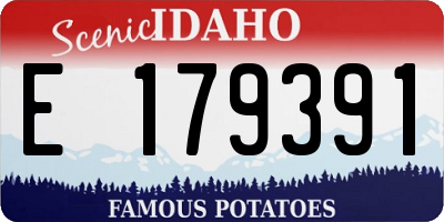 ID license plate E179391