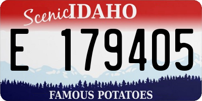 ID license plate E179405