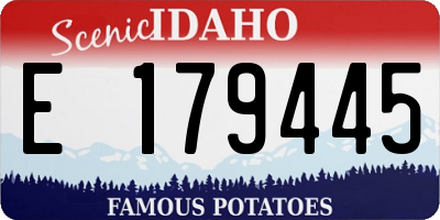 ID license plate E179445