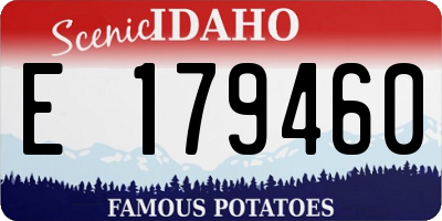 ID license plate E179460