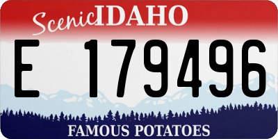 ID license plate E179496
