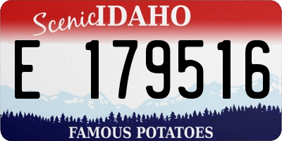 ID license plate E179516