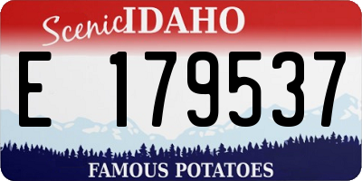 ID license plate E179537