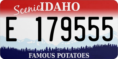 ID license plate E179555