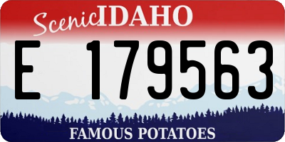 ID license plate E179563
