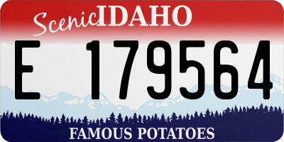 ID license plate E179564
