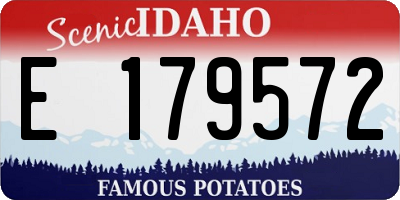 ID license plate E179572