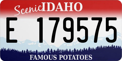 ID license plate E179575