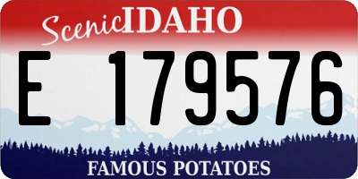 ID license plate E179576
