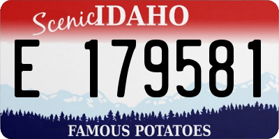 ID license plate E179581