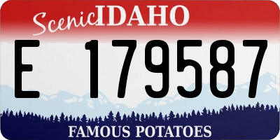 ID license plate E179587