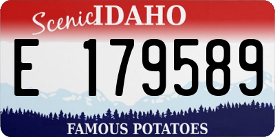 ID license plate E179589