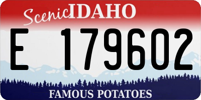 ID license plate E179602