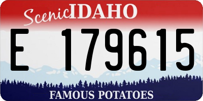 ID license plate E179615