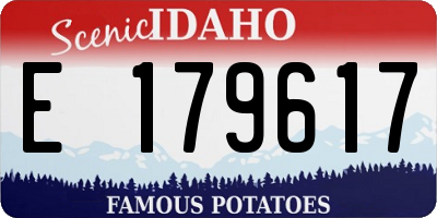 ID license plate E179617