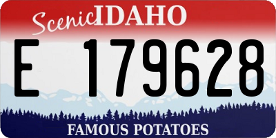 ID license plate E179628