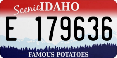 ID license plate E179636