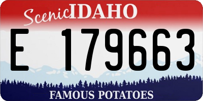ID license plate E179663