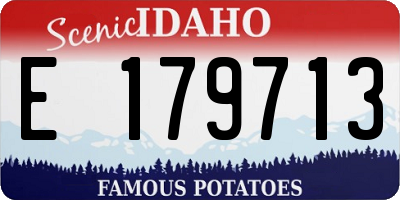 ID license plate E179713