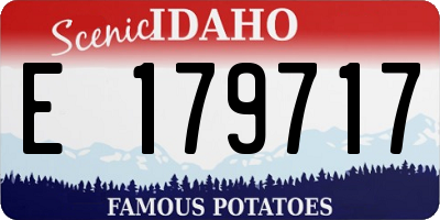 ID license plate E179717