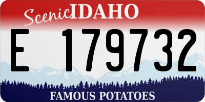 ID license plate E179732