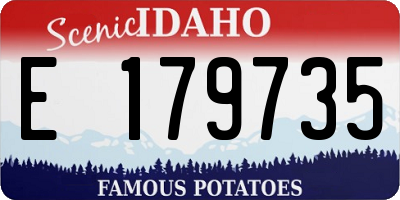 ID license plate E179735