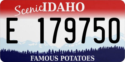 ID license plate E179750